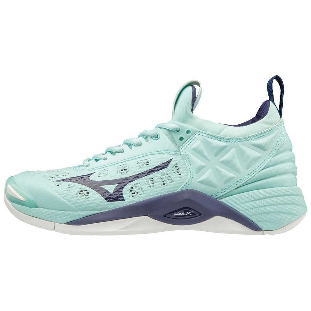 Men's Mizuno Volleyball Shoes Blue White WAVE MOMENTUM Shoes - V1GC191228